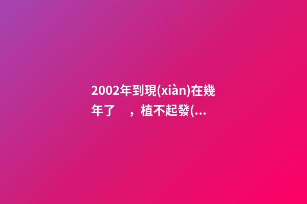 2002年到現(xiàn)在幾年了，植不起發(fā)的年輕人-第1張-觀點-玄機派